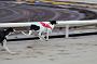 Julyaction_063