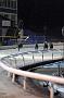Julyaction_091