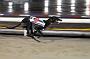 Julyaction_134