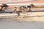 Julyaction_147