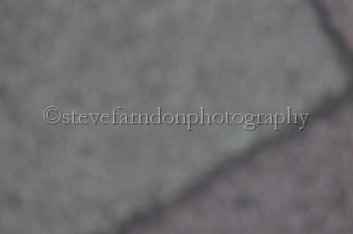 sat18_015.JPG - (C)S.FARNDON