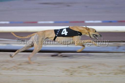 sat18_024.JPG - (C)S.FARNDON
