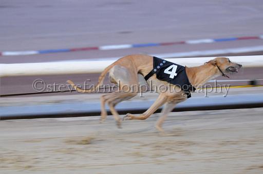 sat18_025.JPG - (C)S.FARNDON