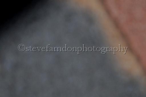 sat18_027.JPG - (C)S.FARNDON