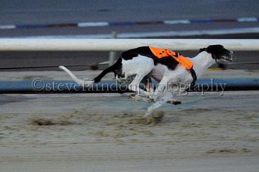 sat18_033.JPG - (C)S.FARNDON
