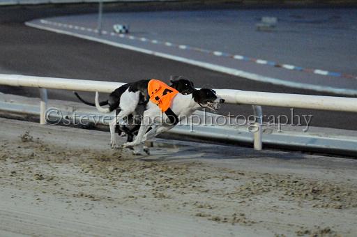 sat18_039.JPG - (C)S.FARNDON