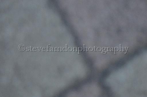 sat18_044.JPG - (C)S.FARNDON