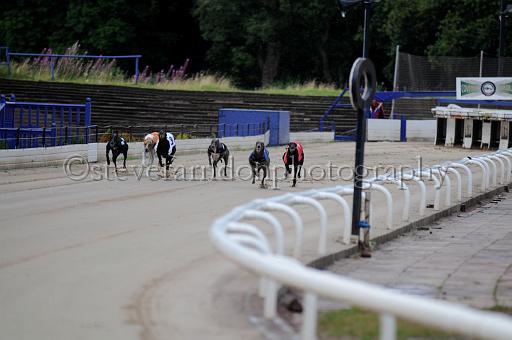 sun19_085.JPG - (C)S.FARNDON