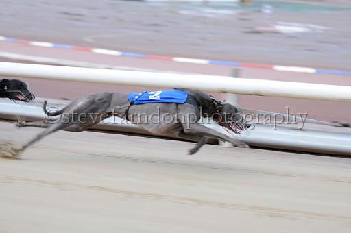 sun19_091.JPG - (C)S.FARNDON