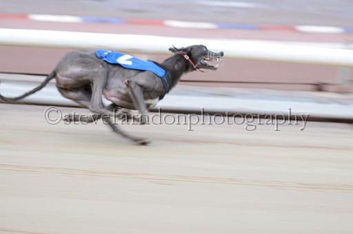 sun19_092.JPG - (C)S.FARNDON