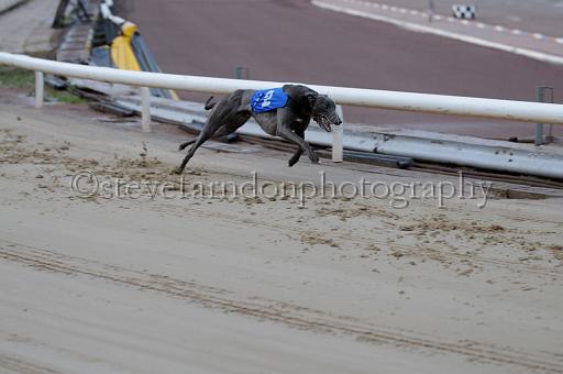sun19_096.JPG - (C)S.FARNDON