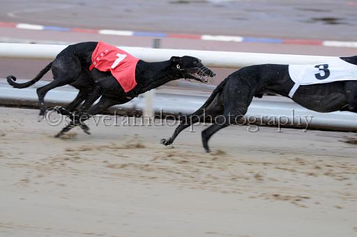 sun19_100.JPG - (C)S.FARNDON