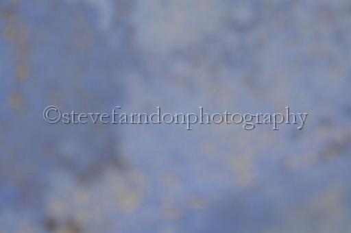 sun19_103.JPG - (C)S.FARNDON