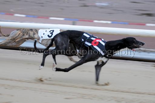 sun19_110.JPG - (C)S.FARNDON