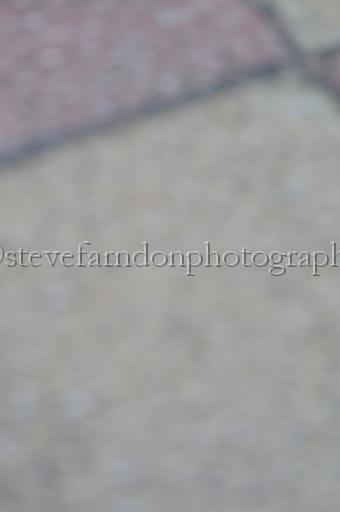 sun19_111.JPG - (C)S.FARNDON