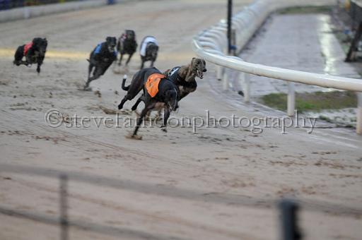 sun19_112.JPG - (C)S.FARNDON