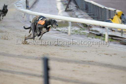 sun19_113.JPG - (C)S.FARNDON