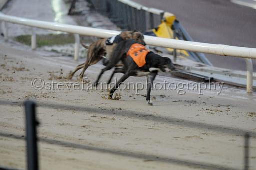 sun19_114.JPG - (C)S.FARNDON