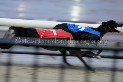 sun19_115.JPG - (C)S.FARNDON