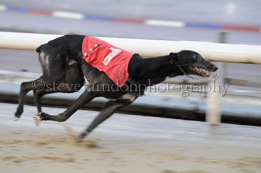 sun19_122.JPG - (C)S.FARNDON