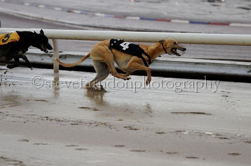 sun19_126.JPG - (C)S.FARNDON