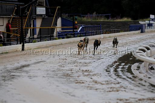 sun19_132.JPG - (C)S.FARNDON