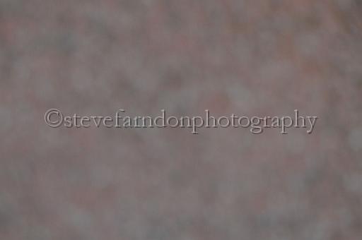 sun19_149.JPG - (C)S.FARNDON