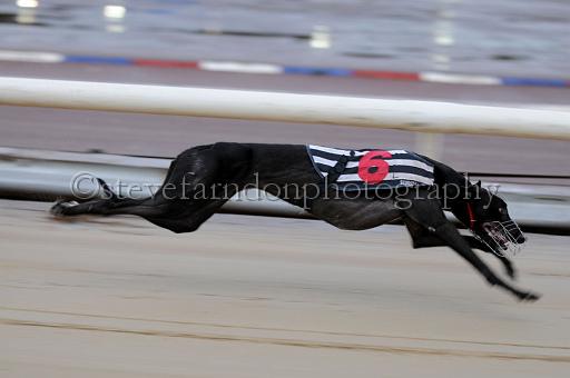 sun19_154.JPG - (C)S.FARNDON