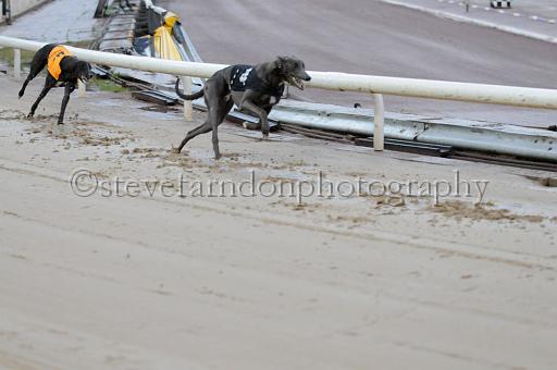 sun19_156.JPG - (C)S.FARNDON