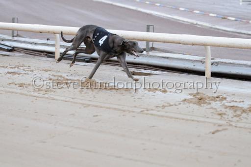 sun19_157.JPG - (C)S.FARNDON
