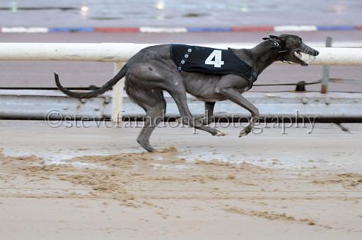 sun19_160.JPG - (C)S.FARNDON