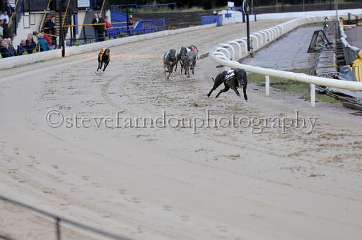 sun19_162.JPG - (C)S.FARNDON