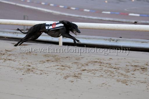 sun19_166.JPG - (C)S.FARNDON