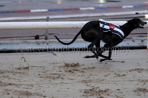 sun19_169.JPG - (C)S.FARNDON