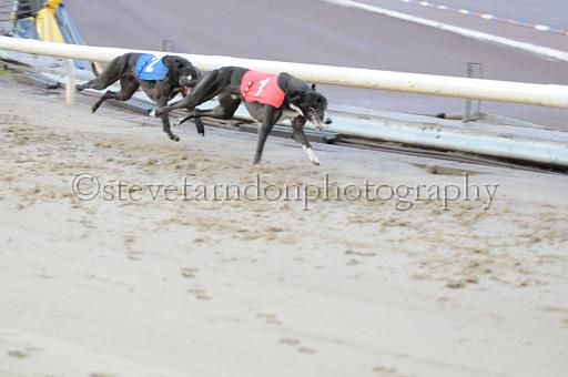 sun19_170.JPG - (C)S.FARNDON