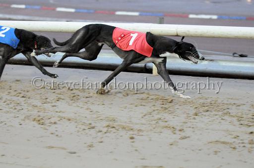 sun19_172.JPG - (C)S.FARNDON