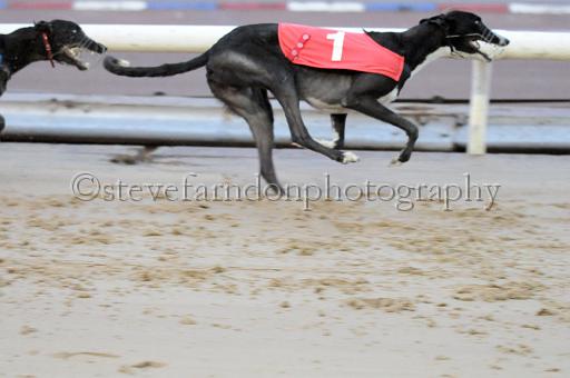 sun19_173.JPG - (C)S.FARNDON