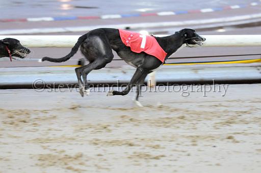 sun19_174.JPG - (C)S.FARNDON