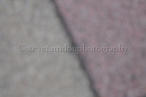 sun19_176.JPG - (C)S.FARNDON