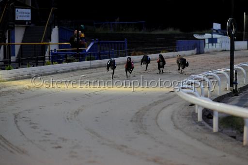 sun19_178.JPG - (C)S.FARNDON
