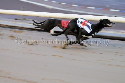 sun19_182.JPG - (C)S.FARNDON