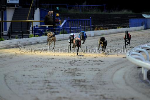 sun19_185.JPG - (C)S.FARNDON