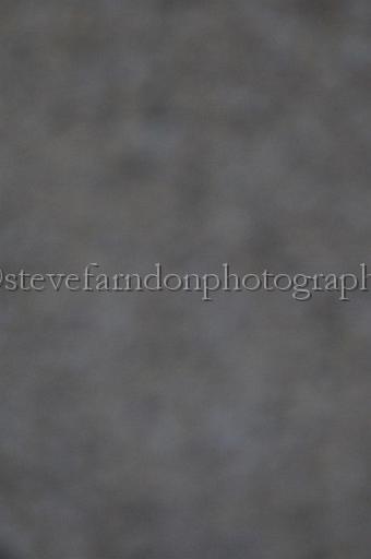sun19_191.JPG - (C)S.FARNDON