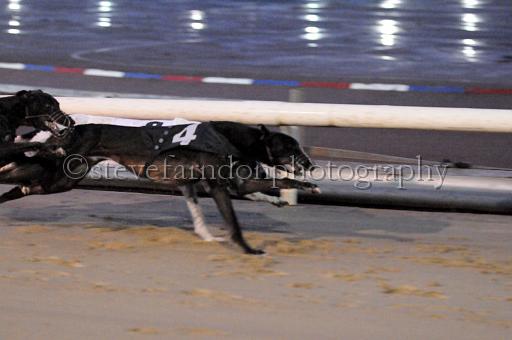 sun19_197.JPG - (C)S.FARNDON