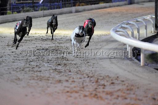 sun19_199.JPG - (C)S.FARNDON