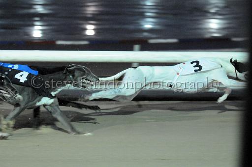 sun19_212.JPG - (C)S.FARNDON