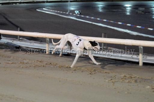 sun19_219.JPG - (C)S.FARNDON