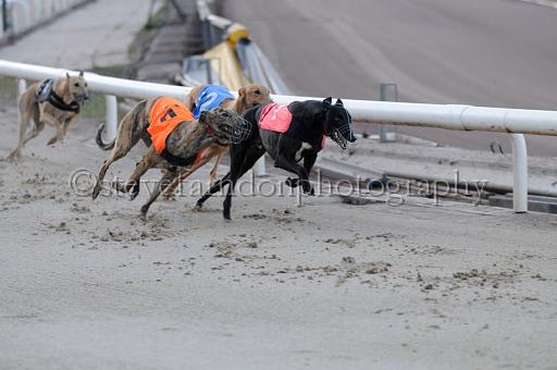 sat25_008.JPG - (C)S.FARNDON