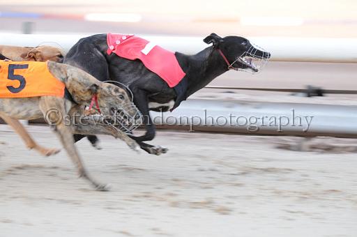 sat25_011.JPG - (C)S.FARNDON