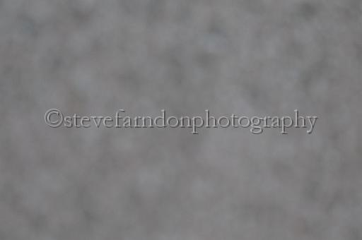 sat25_014.JPG - (C)S.FARNDON